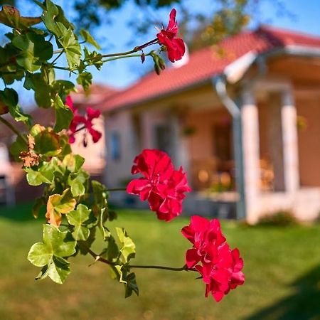 Villa Simida Debnevo 외부 사진