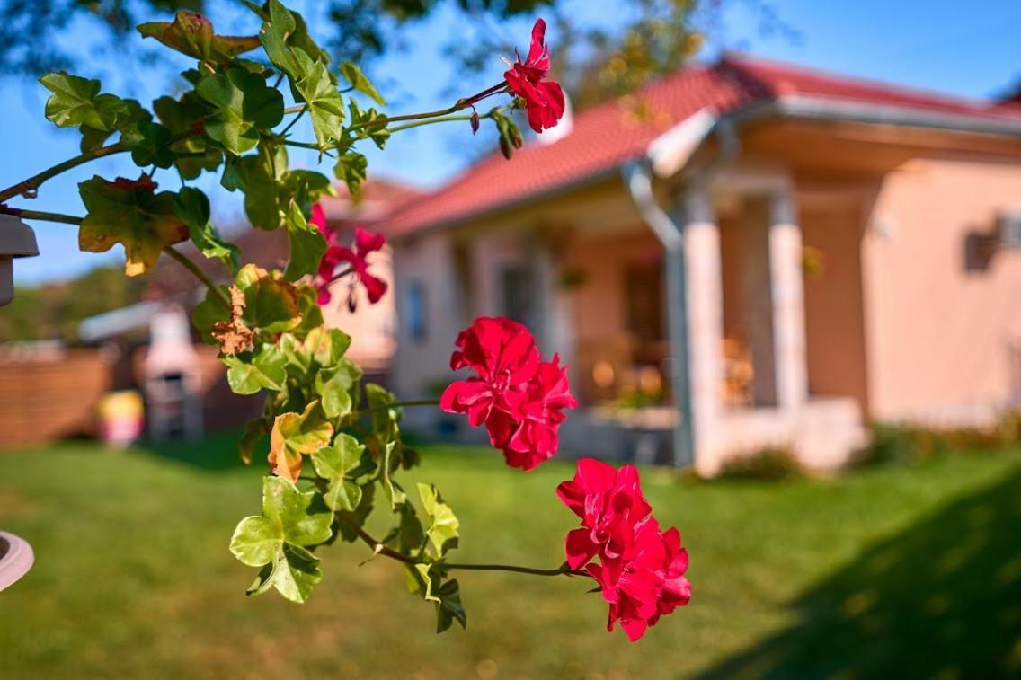 Villa Simida Debnevo 외부 사진